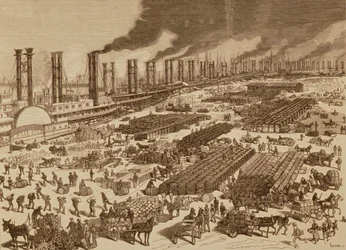 Actividad Comercial y Vista del Muelle en Nueva Orleans en 1880